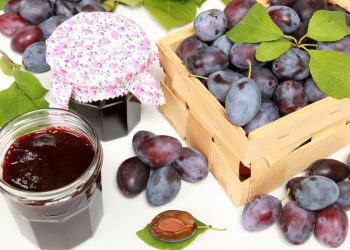 Lake District Cottages Damsons and the Lake District Blog Image