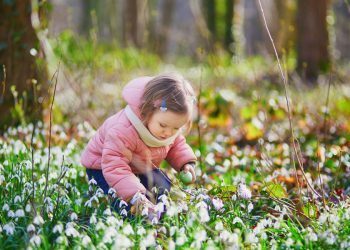 Large Cottages Lake District Great Places for Easter Egg Hunts in the Lake District Blog Image