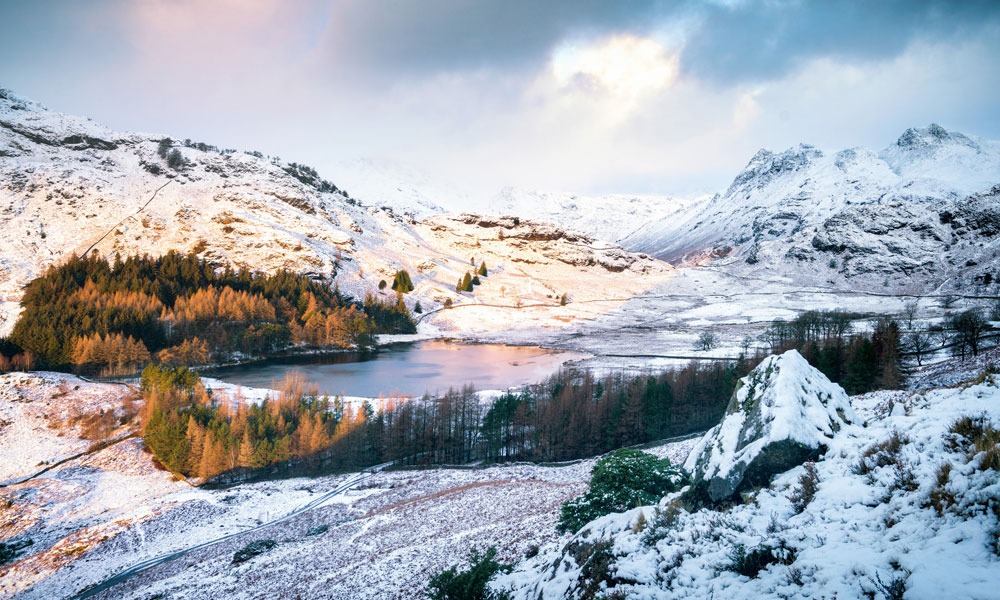 Coniston Holidays Is Too Early for Christmas Holiday Planning Blog Image