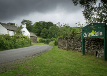 Sign for Grizedale at the side of a road surrounded by greenery