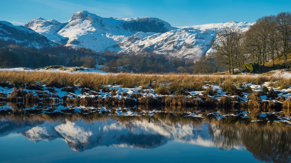 View of the Langdale pikes over Blea tarn