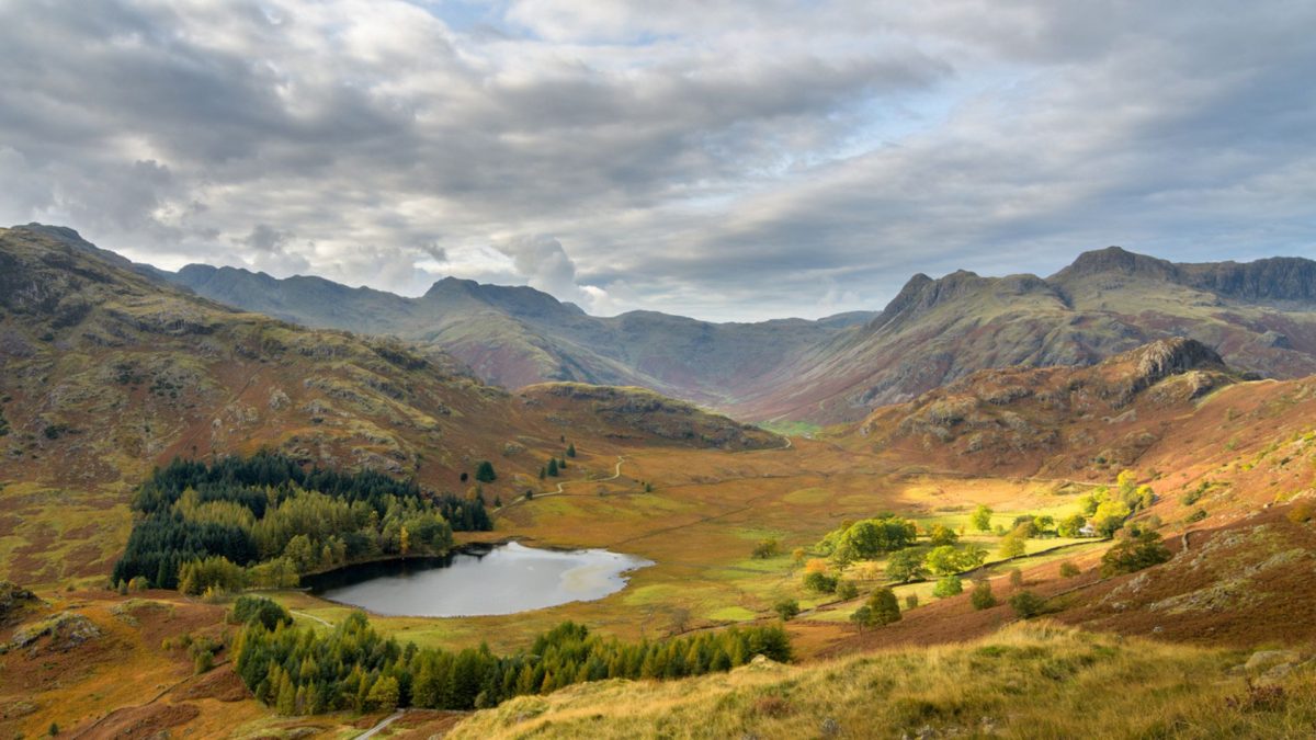 View of the Langdale Pikes and Blea Tarn