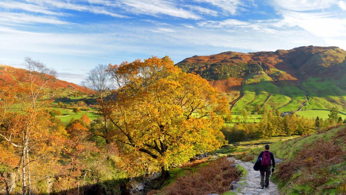 Man walking on a sunny day in Langdale, Lake District