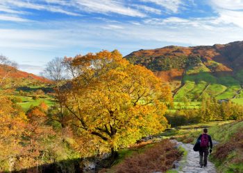 Man walking in Langdale Valley, Lake District